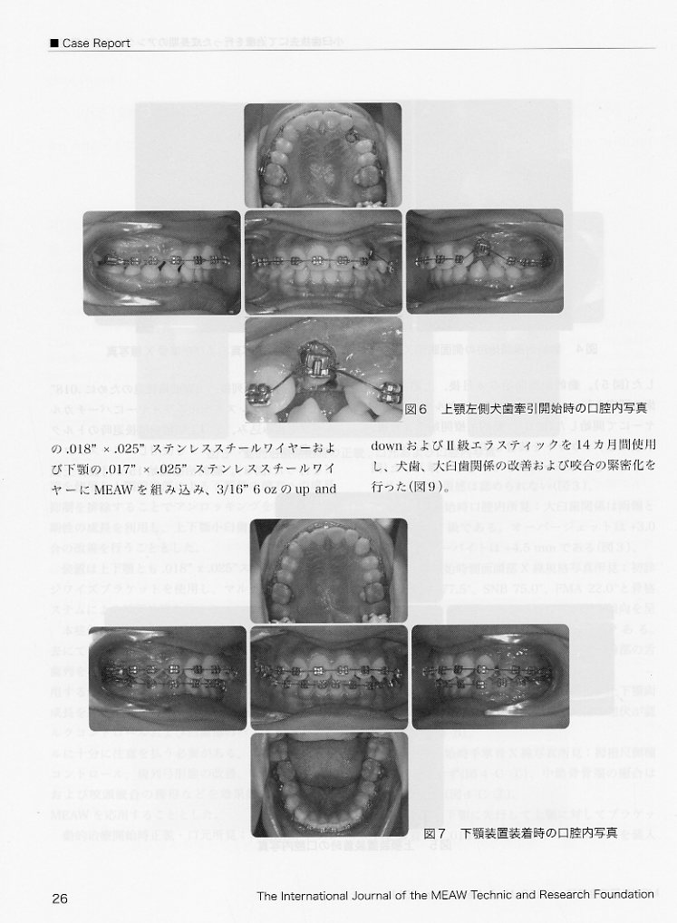 06.jpg